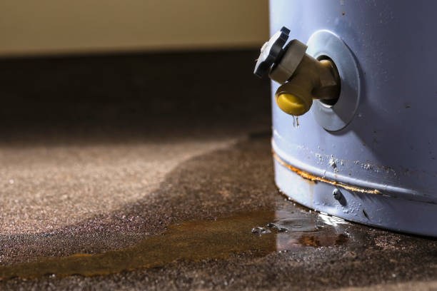 Best Mold removal after water damage  in Mante, CA