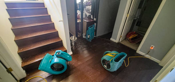 Best Carpet water damage restoration  in Mante, CA