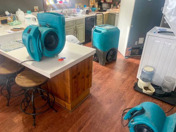 Water damage restoration mold remediation in Manteca, CA