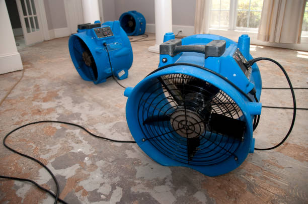 Best Water damage restoration mold remediation  in Mante, CA