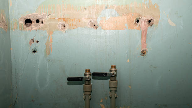 Best Basement water damage restoration  in Mante, CA